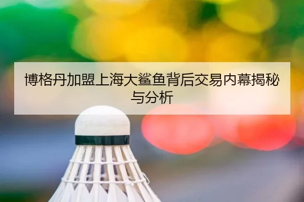 博格丹加盟上海大鲨鱼背后交易内幕揭秘与分析