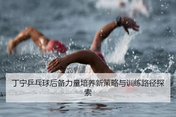 丁宁乒乓球后备力量培养新策略与训练路径探索