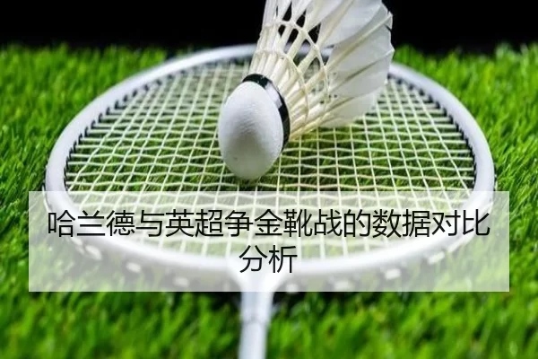 img_1781217041506_1234_2_317.jpg
